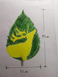 说明: E:\201906书签设计大赛参赛作品\获奖作品\优秀奖2834859058.jpg